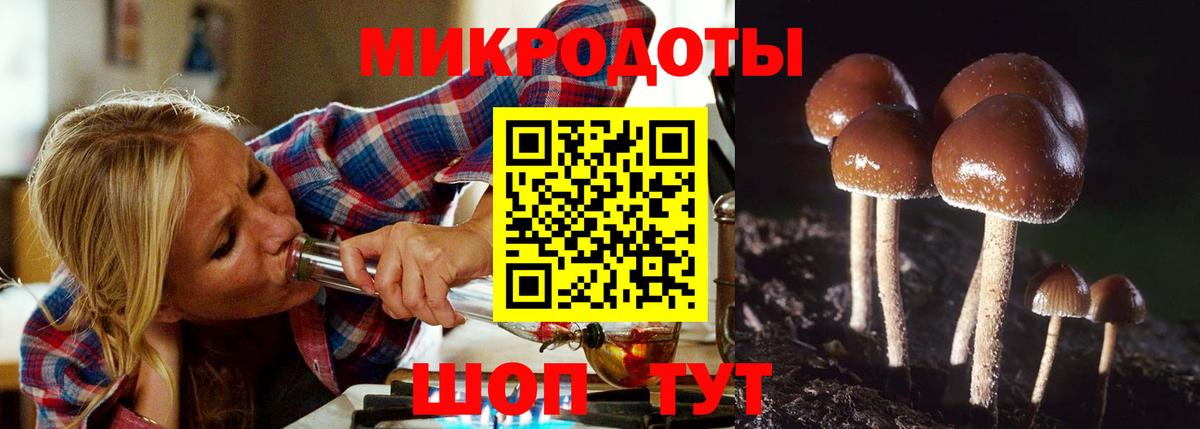 Галлюциногенные грибы Cubensis  Вход с VPN  Новотроицк 